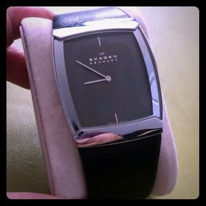 Skagen Men’s Watch 
584LSLM